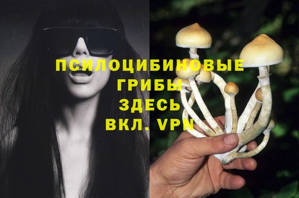 марки lsd Балахна