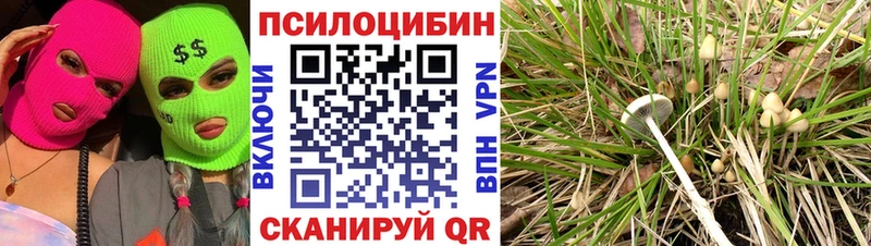 Псилоцибиновые грибы мицелий  Вязьма 